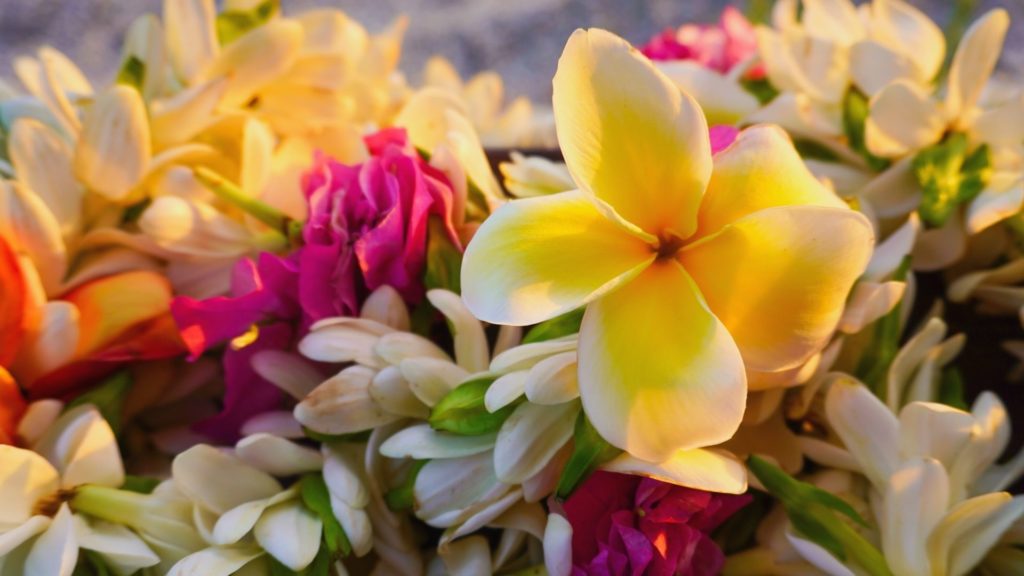 The Cost of Wedding Flowers: Hawaii vs. Mainland