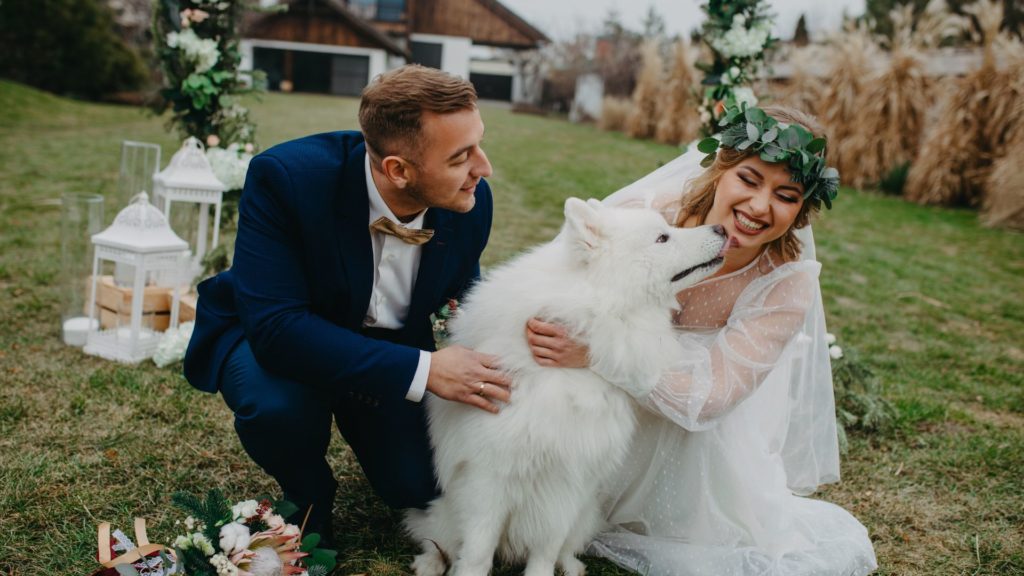 What To Consider When Including Your Dog in Your Wedding