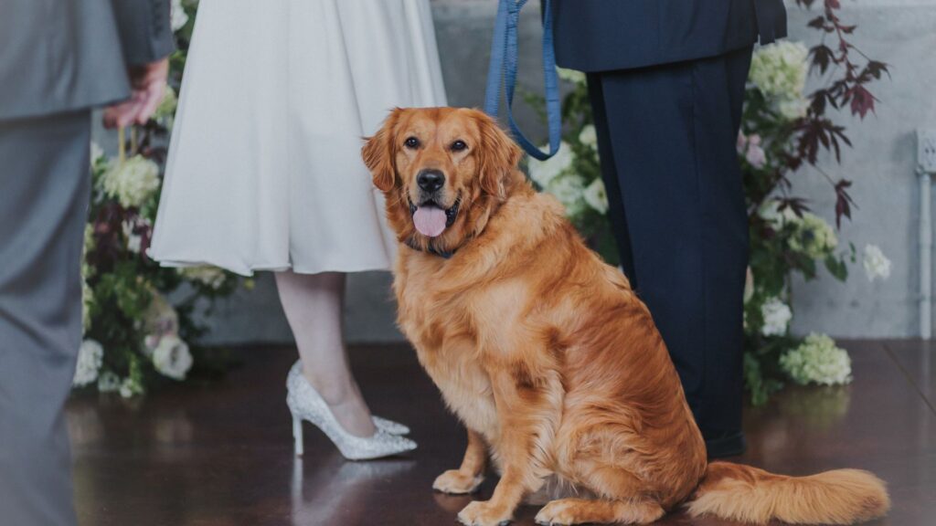 5 Ways To Honor Your Pet on Your Wedding Day